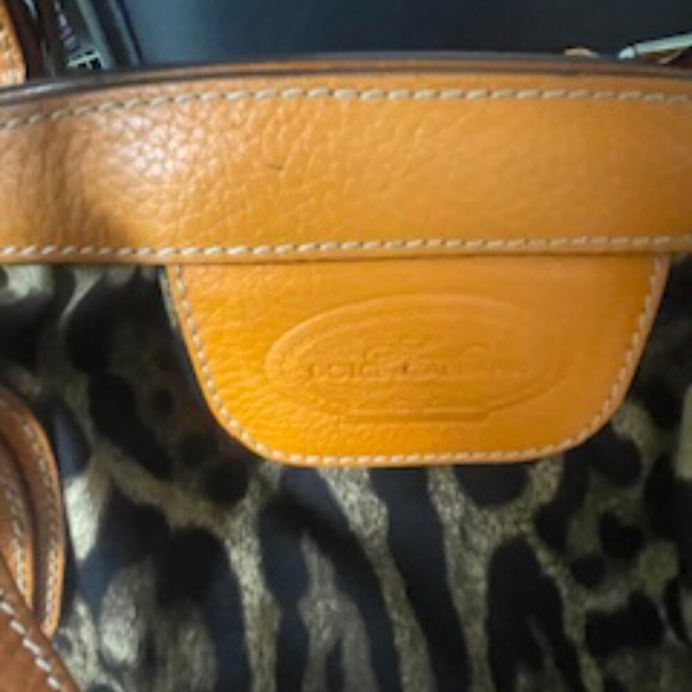 Dolce & Gabbana Orange Leopard Handbag - Picture 3 of 15